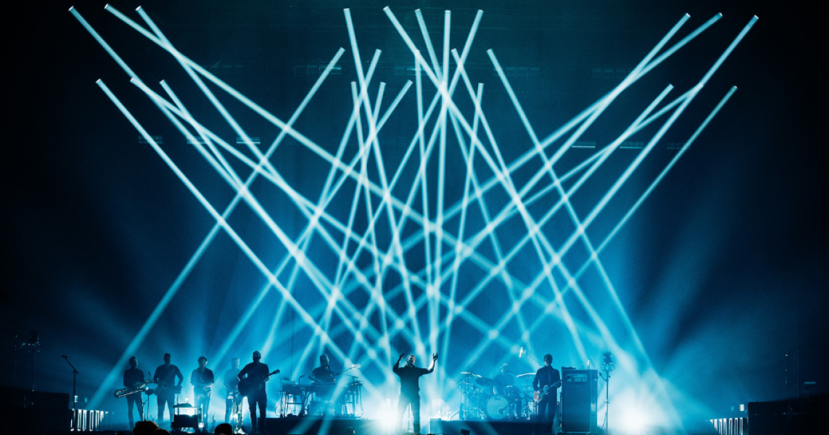 Racoon | Premium Seats